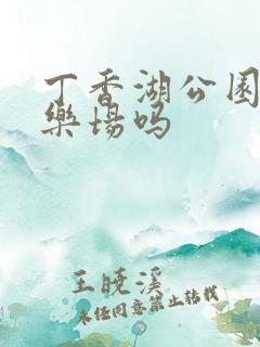 丁香湖公园有游乐场吗