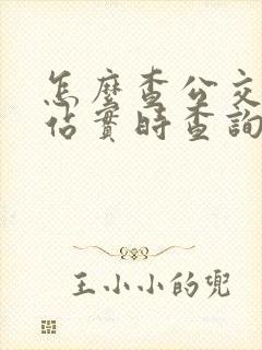 怎么查公交车到站实时查询