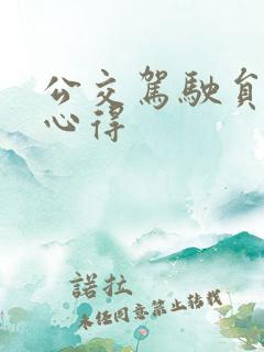 公交驾驶员安全心得