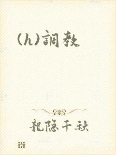 (h)调教