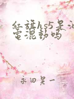 红旗hs5是油电混动吗