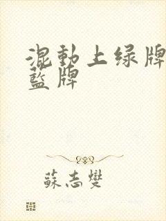 混动上绿牌还是蓝牌