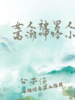 女人被男人狂操高潮呻吟小说