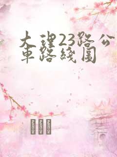 大理23路公交车路线图