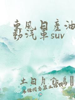 东风日产油电混动汽车suv
