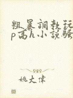 粗暴调教玩弄np高h小说骚受