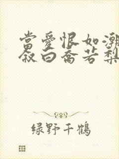 当爱恨如潮生裴叙白乔若梨小说