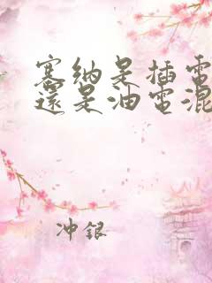 塞纳是插电混动还是油电混动