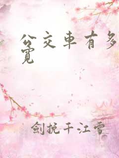 公交车有多长多宽