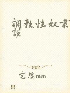 调教性奴隶h小说