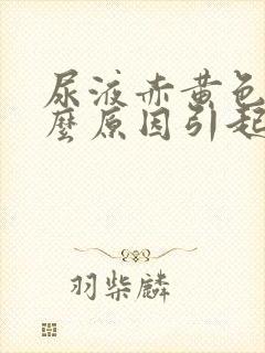 尿液赤黄色是什么原因引起的