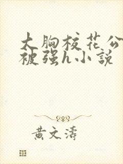 大胸校花公交车被强h小说