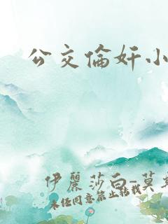 公交伦奸小说