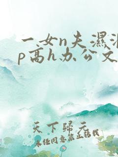 一女n夫湿润np高h办公文 一女n夫湿润np高h办公文