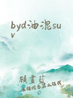 byd油混suv