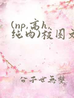 (np,高h,纯肉)校园文
