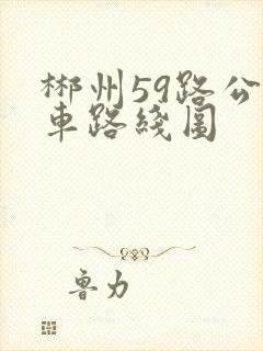 郴州59路公交车路线图