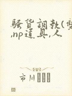 骚货调教(双性,np道具,人