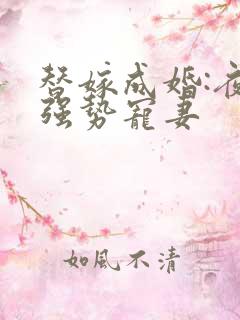 替嫁成婚:夜少强势宠妻