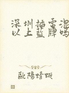 深圳插电混动可以上蓝牌吗