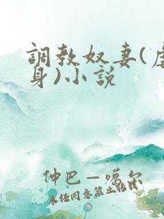 调教奴妻(虐女身)小说