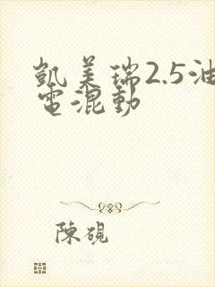凯美瑞2.5油电混动