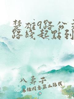 楚雄9路公交车路线起点到终点