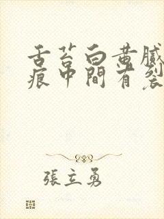 舌苔白黄腻有齿痕中间有裂纹