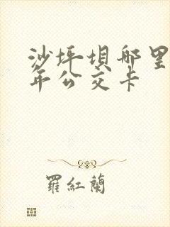 沙坪坝哪里办老年公交卡
