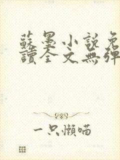 苏墨小说免费阅读全文无弹窗