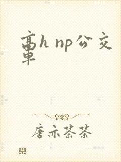 高h np公交车 高h np公交车