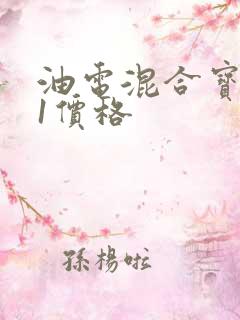 油电混合宝马x1价格