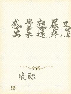感觉想尿又尿不出来还疼,怎么办