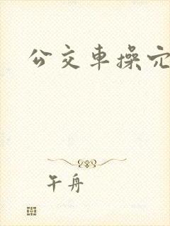 公交车操穴