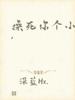 操死你个小骚货,