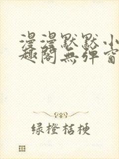 漫漫默默小说笔趣阁无弹窗