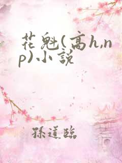花魁(高h,np)小说
