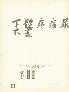 下体疼痛尿频尿不尽