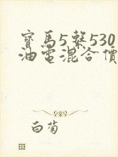 宝马5系530油电混合价格