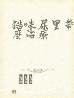 猫咪尿里带血怎么治疗