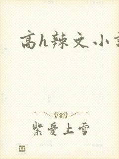 高h辣文小说 高h辣文小说
