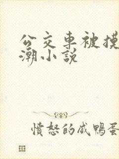 公交车被摸到高潮小说