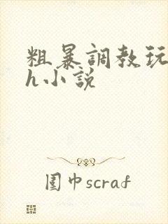 粗暴调教玩弄高h小说
