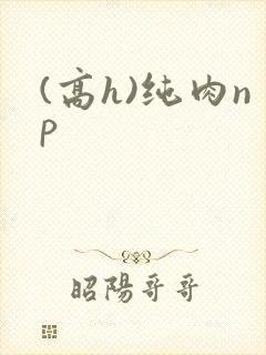 (高h)纯肉np