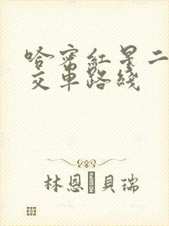 哈密红星二路公交车路线