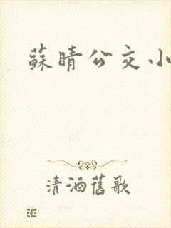 苏睛公交小说