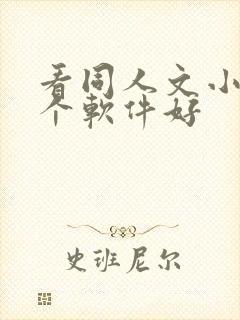 看同人文小说哪个软件好