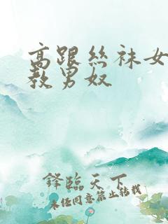 高跟丝袜女王调教男奴