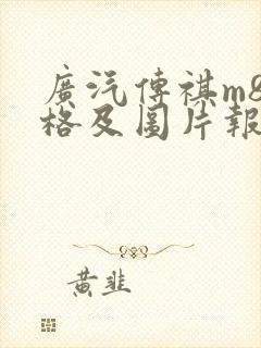 广汽传祺m8价格及图片报价