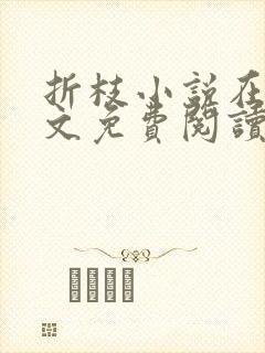 折枝小说在线全文免费阅读无弹窗